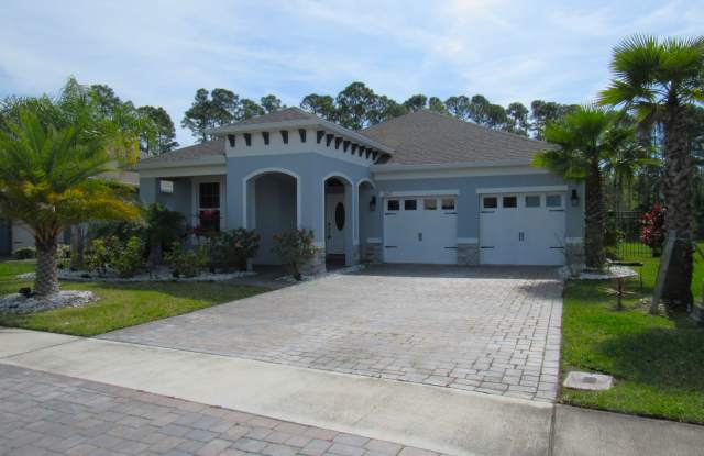 3027 Borassus Dr - 3027 Borassus Drive, New Smyrna Beach, FL 32168