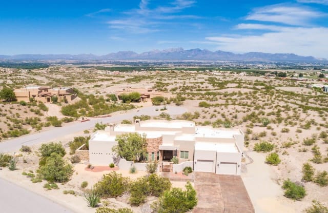 1320 Estancia Real Place - 1320 Estancia Real Place, Doña Ana County, NM 88007