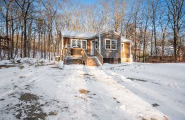 Photo of 46 Willow Street