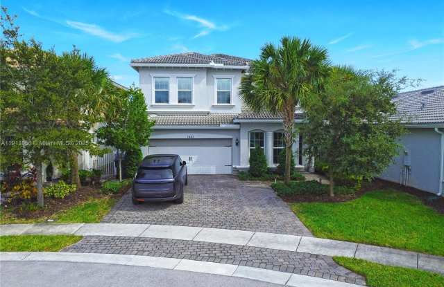 Photo of 1465 Bursera Ter