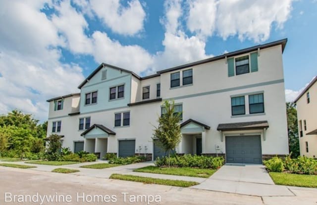 picture Marbella Apartments Tampa Fl apartment list