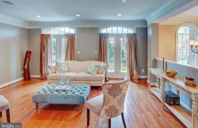 43577 Purple Aster Terrace