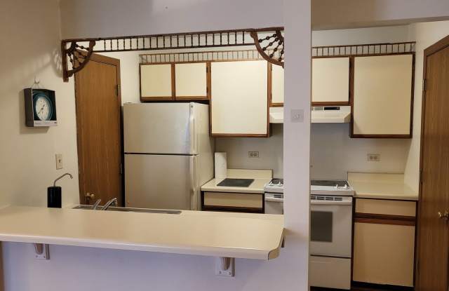 4305 W Shamrock Lane