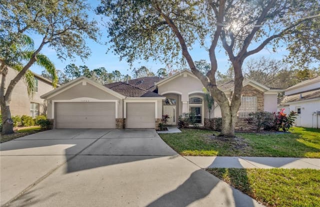 16942 FALCONRIDGE ROAD - 16942 Falconridge Road, Fish Hawk, FL 33547