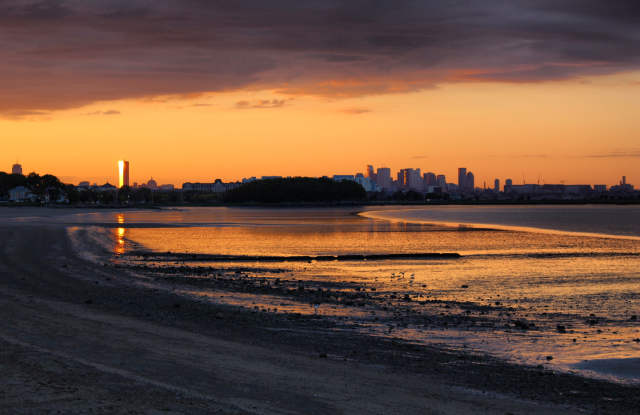 Photo of 55 Channing St