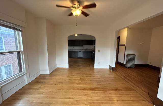 315 N Pinckney - Unit 3