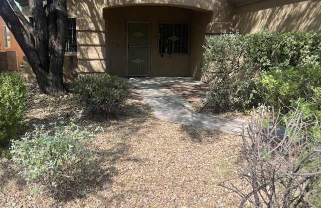 10427 E Rita Ranch Crossing Circle