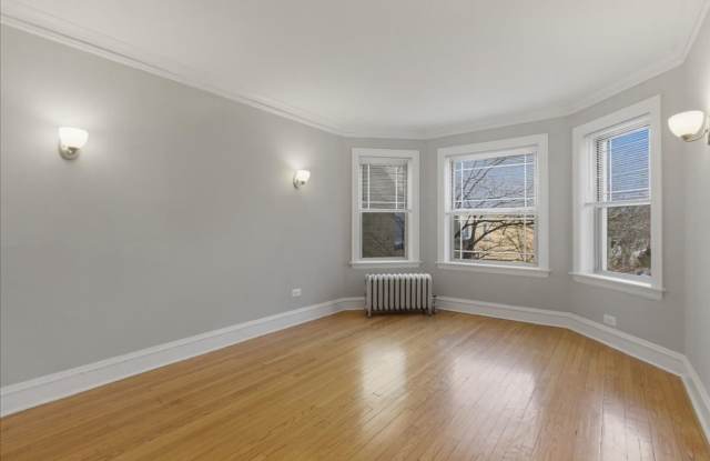 Large One Bedroom in Andersonville