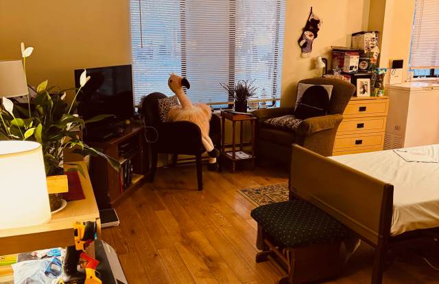 Photo of 39 Lemon Tree Court