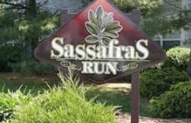 409 Sassafras Run