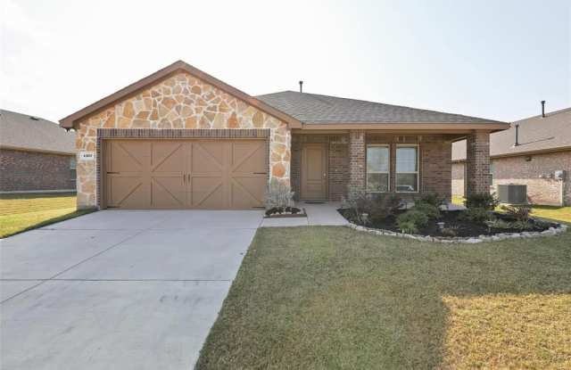 4107 Alcott Lane - 4107 Alcott Lane, Denton County, TX 76227