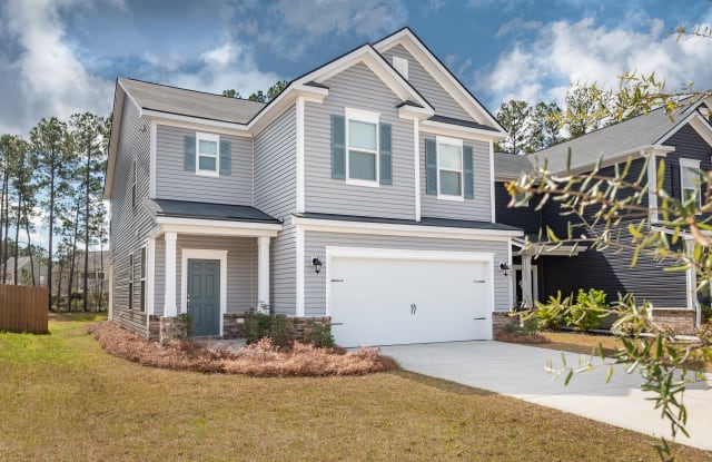 163 Basket Grass Lane - 163 Basket Grass Lane, Berkeley County, SC 29486