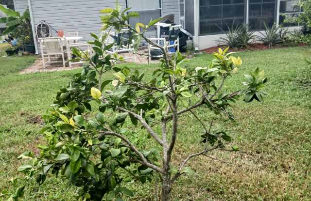 Photo of 5030 El Destino Dr