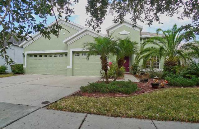 20415 WALNUT GROVE LANE - 20415 Walnut Grove Lane, Tampa, FL 33647