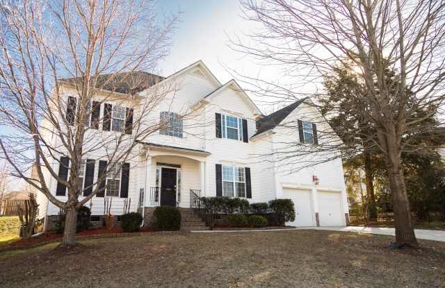 1008 Anduin Falls Drive