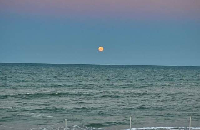 Pineda Ocean Club 209