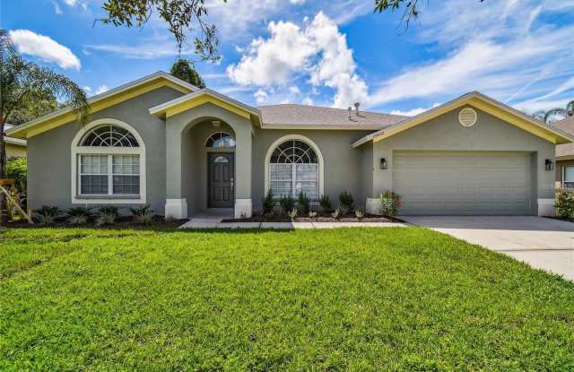 29435 ALLEGRO DRIVE - 29435 Allegro Drive, Wesley Chapel, FL 33543