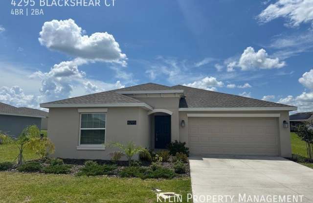 4295 Blackshear Ct