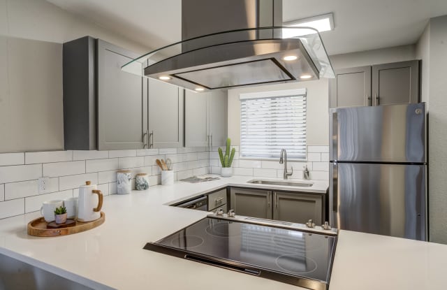 Photo of Milo at Mountain Park