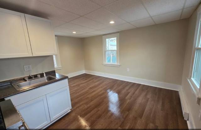 63 E Seneca St Apt 4 Lower Back