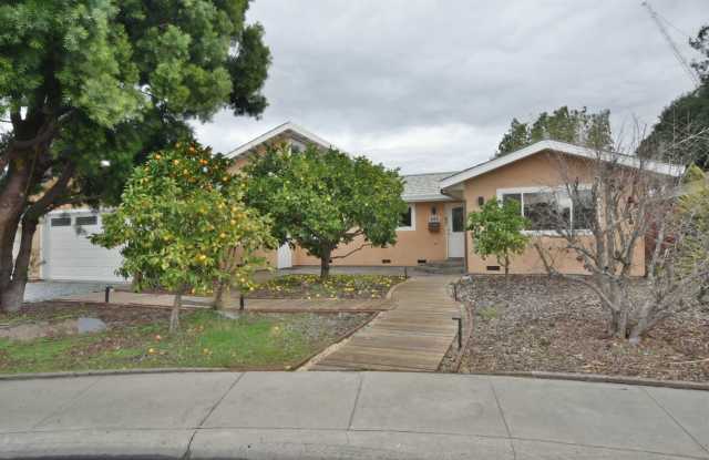Unique Remodeled Home with European Style in West San Jose