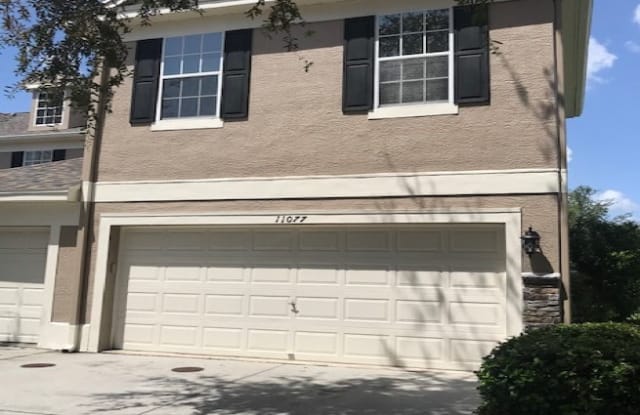 11077 Windsor Place Cir - 11077 Windsor Place Circle, Westchase, FL 33626