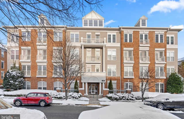 803 RESERVE CHAMPION Drive unit: 203