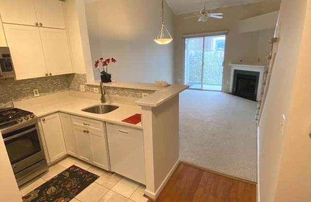 1645 INTERNATIONAL DRIVE #415
