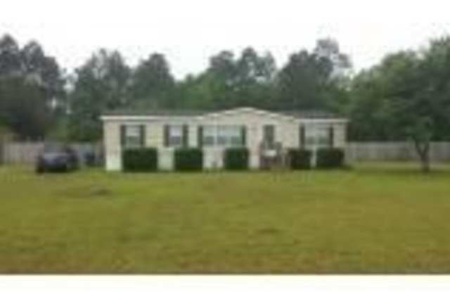 233 Country Lane NE - 233 Country Lane, Long County, GA 31316