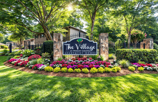 Village at Wesley Chapel