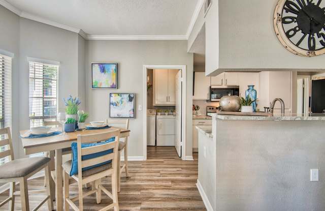 Derby at Steeplechase