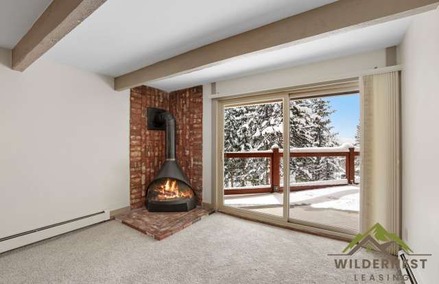 Updated Modern 2 Bedroom Unit w/ Fireplace