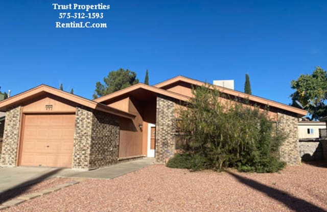 432 Lupton Pl - 432 Lupton Place, Las Cruces, NM 88001