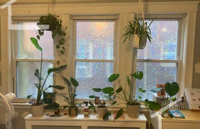 Nice 3 bed in Brighton