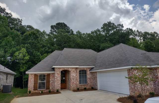207 Silver Circle Pearl, MS