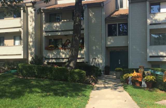 Remodeled condo available for July!