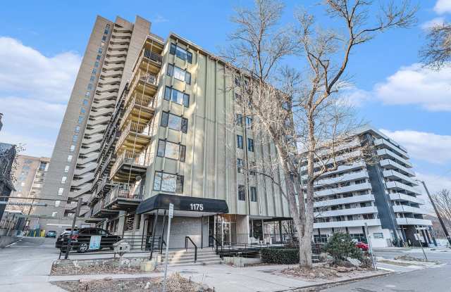 Available Immediatley! Stunning Cheesman Park Condo - with lots of amenities!!