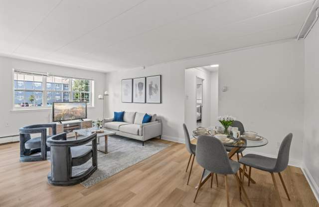 Chestnut Hill Village