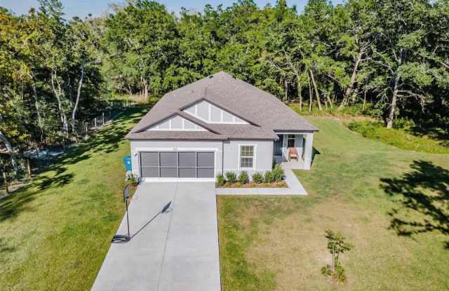 18303 MERWYN CIRCLE - 18303 Meadowlark Circle, Hernando County, FL 34614