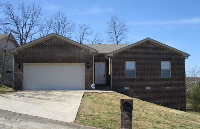 10715 Windridge Drive - 10715 Windridge Drive, Sherwood, AR 72120