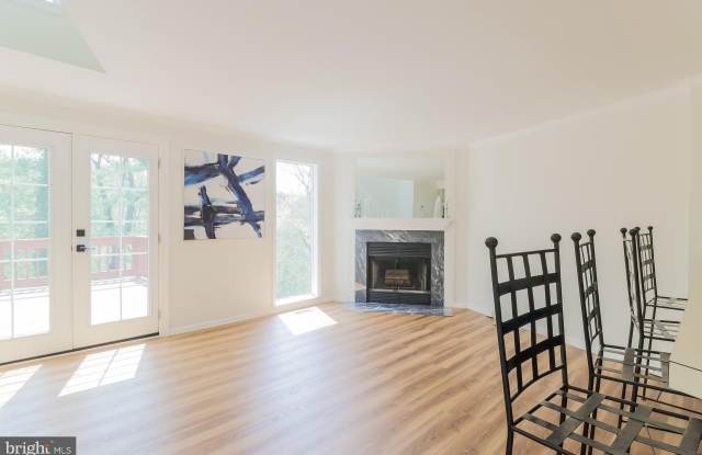 7317 CASTLEBERG COURT