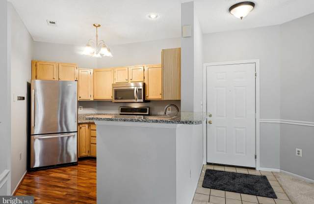 14324 CLIMBING ROSE WAY