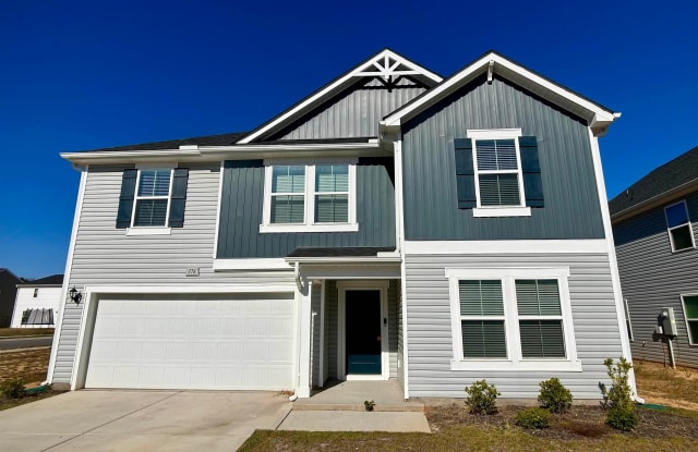 176 Maple Tree Lane - 176 Maple Tree Lane, Johnston County, NC 27527