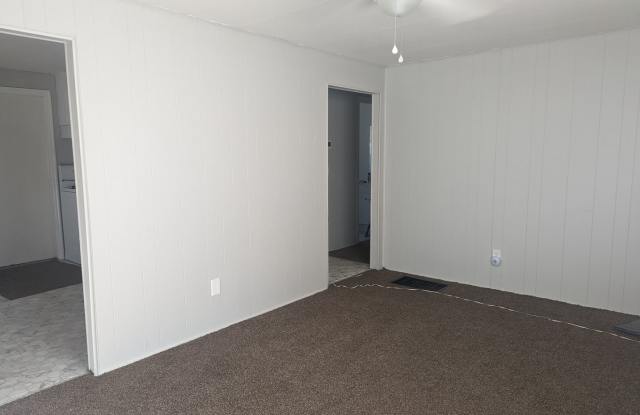 Nice 3 bedroom, 1 bath with large backyard