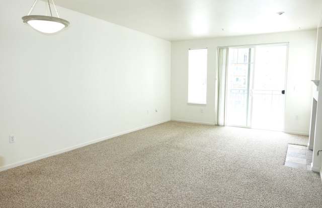 Updated South Facing 1 Bedroom in the Ballard Place Condo Building