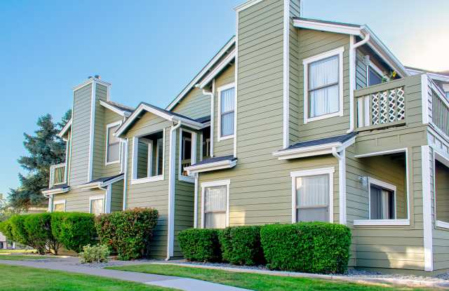 Photo of Bristle Pointe