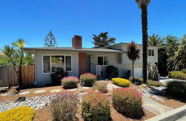 Updated 5 Bedroom, 3 Bathroom with Deck and Yard in Monterey Heights