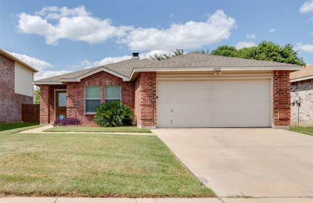 4028 Golden Horn Lane - 4028 Golden Horn Lane, Fort Worth, TX 76123