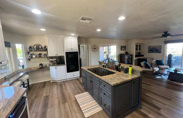 GORGEOUS 3/2.5 Bath Remodeled Home with Stunning Views in Alpine