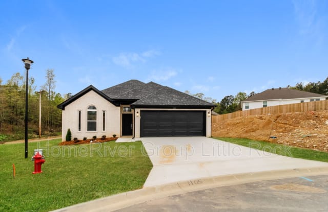 1105 Heritage Way - 1105 Heritage Way, Saline County, AR 72019